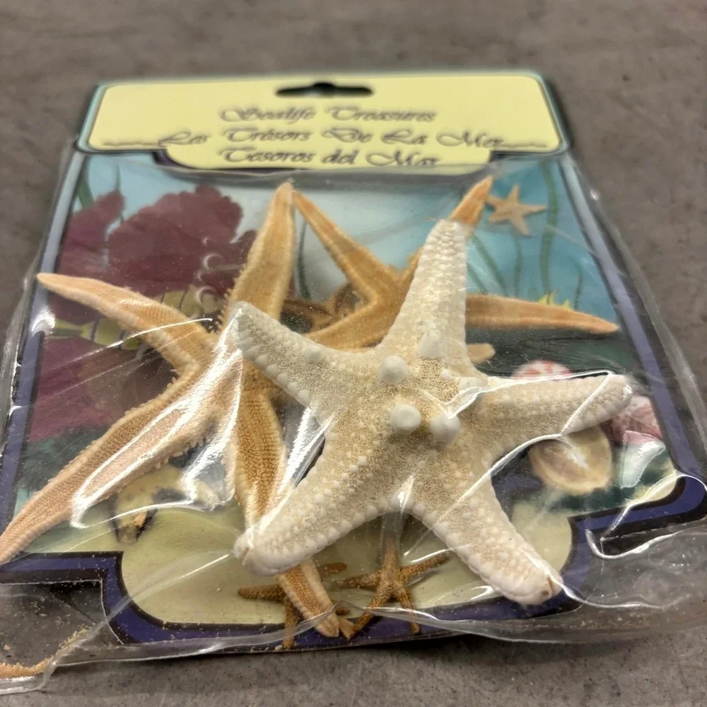 U.S. Shell Inc Natural Starfish 10 Pc Pack Beach Coastal Craft Decor NOS New